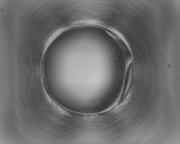 X0000068741389200605051440