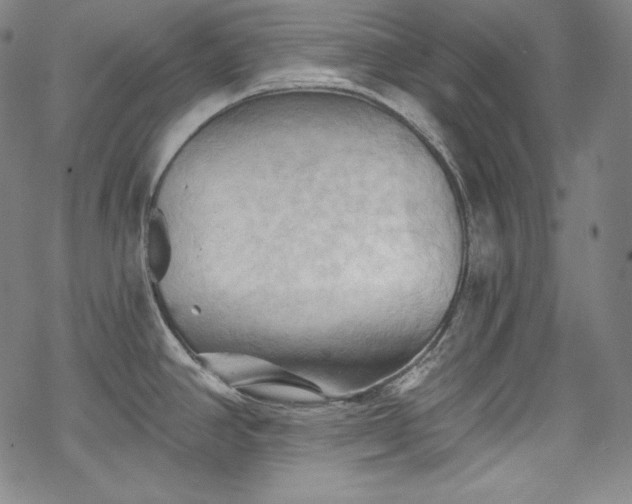 X0000068741390200605051440