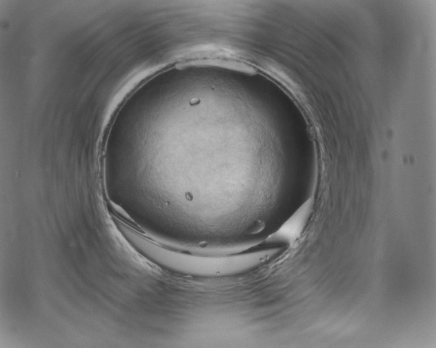 X0000068741392200605051440