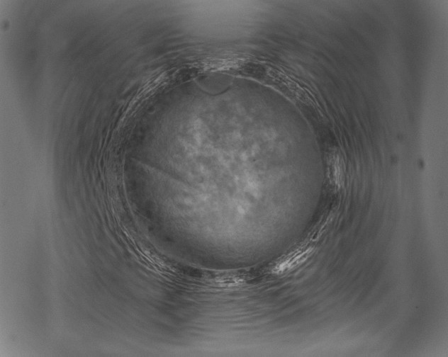 X0000068741393200605051439