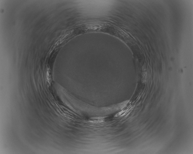 X0000068741394200605051439