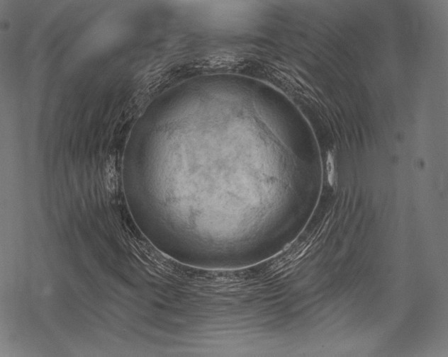 X0000068741395200605051439