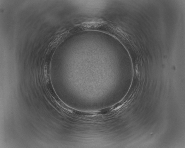 X0000068741396200605051439