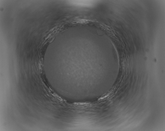 X0000068741397200605051439