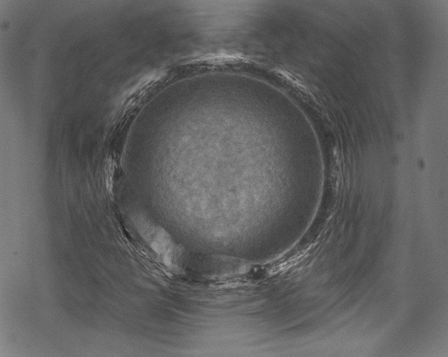 X0000068741398200605051439