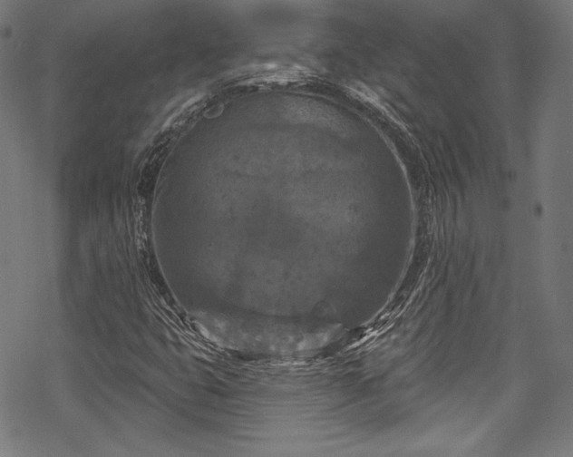 X0000068741399200605051439