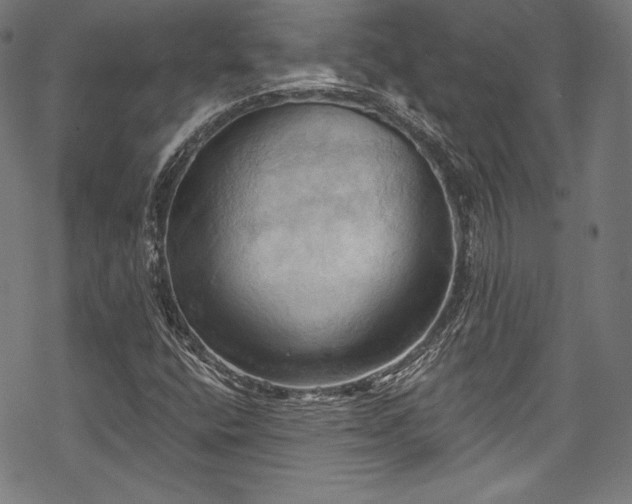 X0000068741400200605051439