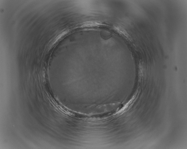 X0000068741401200605051439