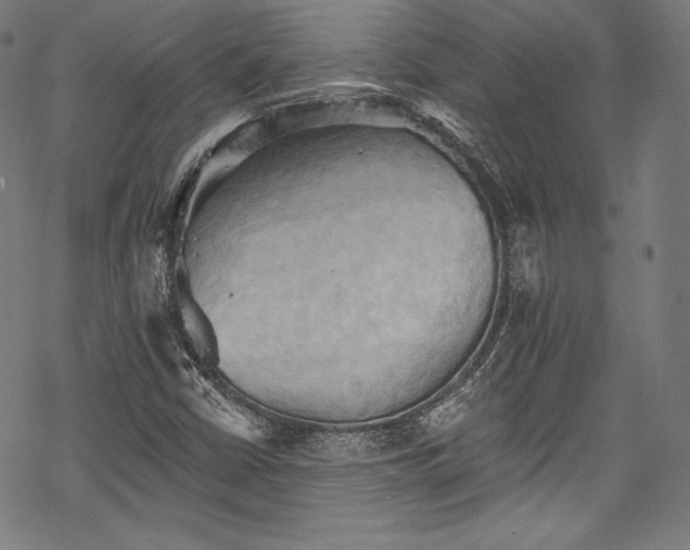 X0000068741402200605051439