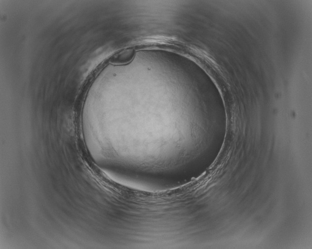 X0000068741404200605051439