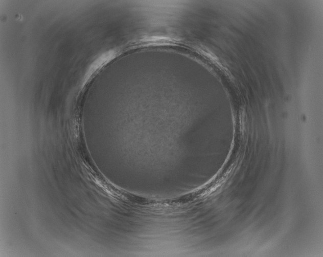 X0000068741405200605051439