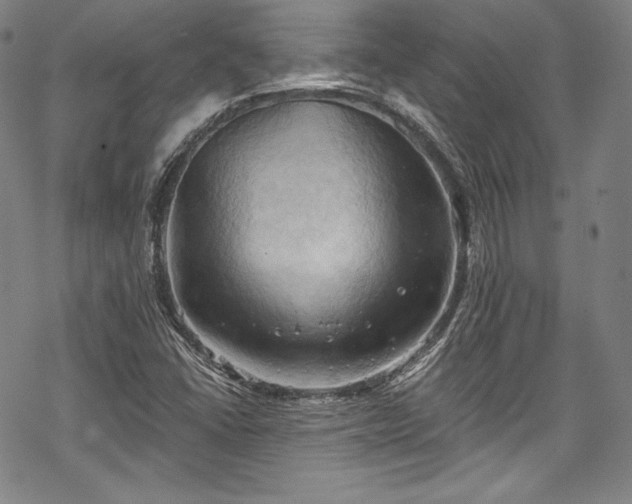 X0000068741406200605051439