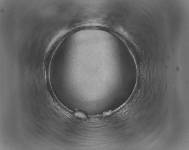 X0000068741408200605051439