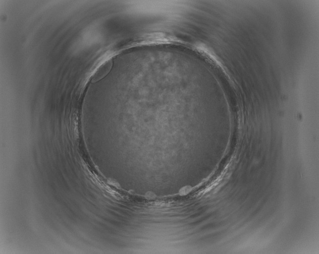 X0000068741409200605051439