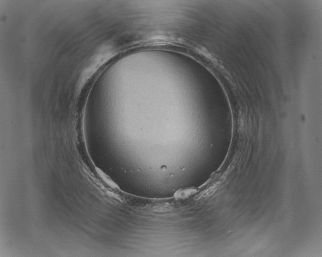 X0000068741410200605051439