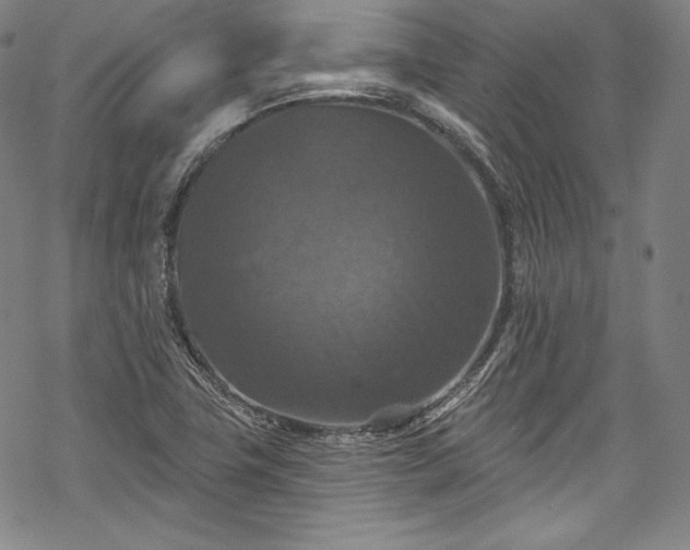 X0000068741411200605051439