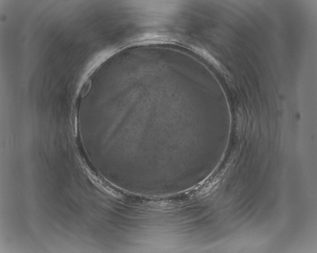 X0000068741413200605051439