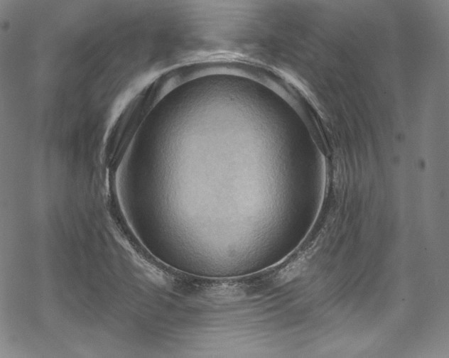 X0000068741414200605051439