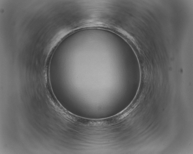 X0000068741415200605051439