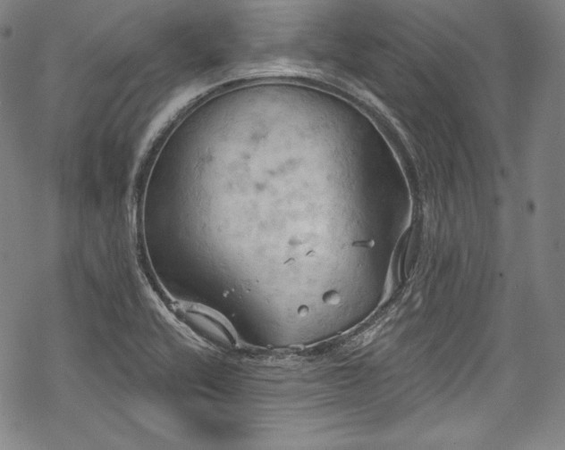 X0000068741416200605051439