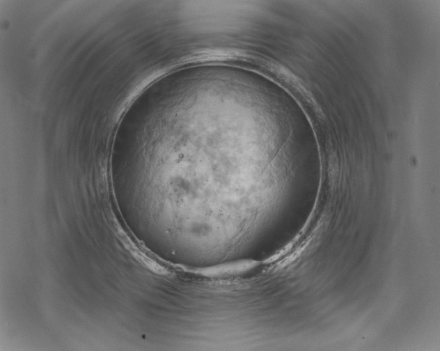 X0000068741417200605051439