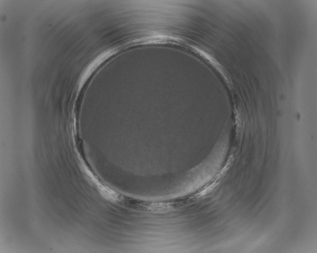 X0000068741418200605051439