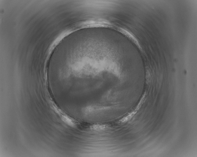 X0000068741419200605051439