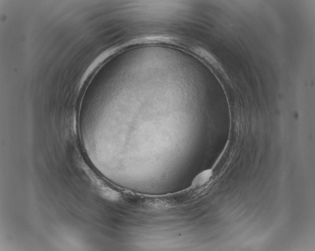 X0000068741420200605051439