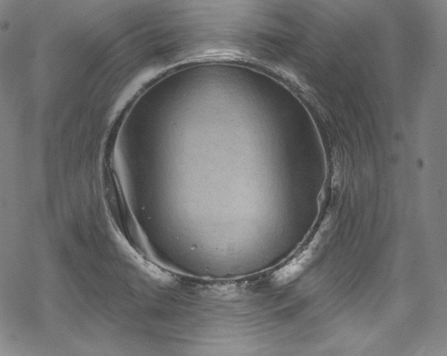 X0000068741422200605051439