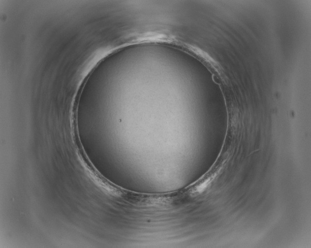 X0000068741423200605051439