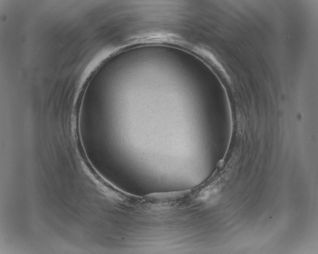 X0000068741424200605051439