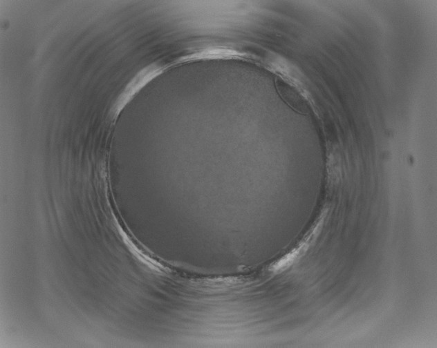 X0000068741425200605051439