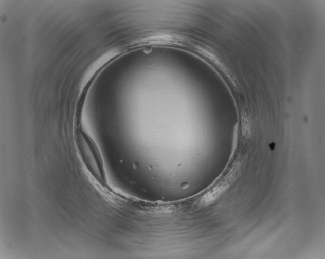 X0000068741426200605051439