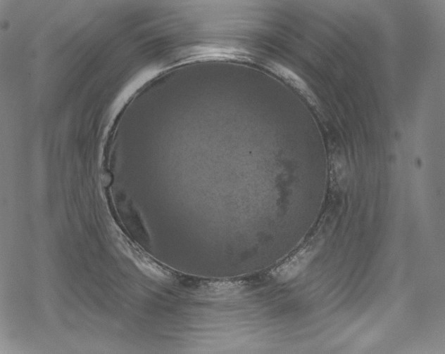 X0000068741427200605051439