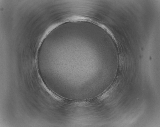 X0000068741429200605051439