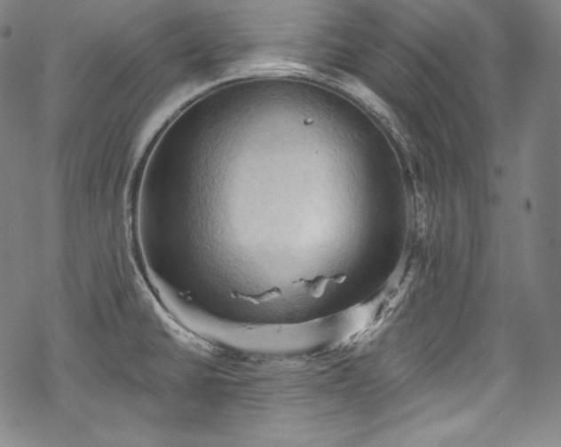 X0000068741430200605051439