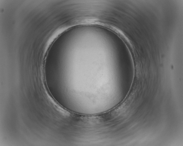 X0000068741432200605051440