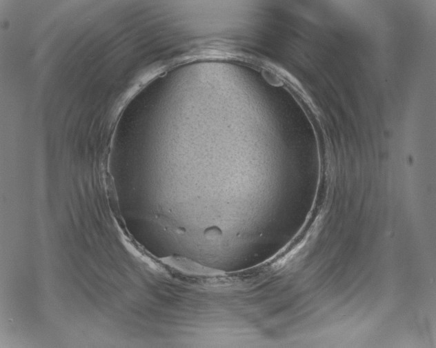 X0000068741433200605051440