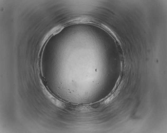 X0000068741434200605051440