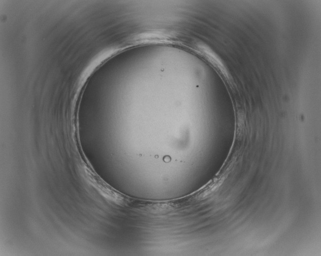 X0000068741435200605051440