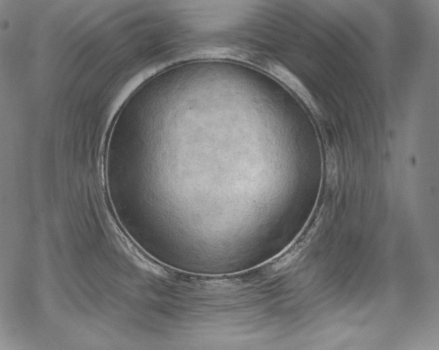 X0000068741436200605051440