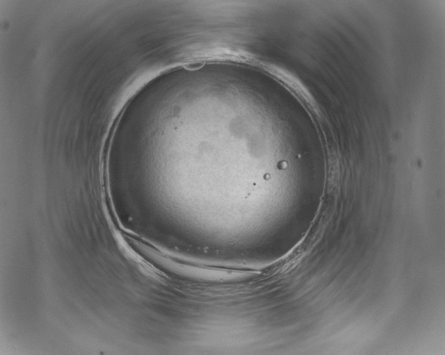 X0000068741439200605051440