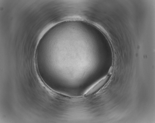 X0000068741440200605051440