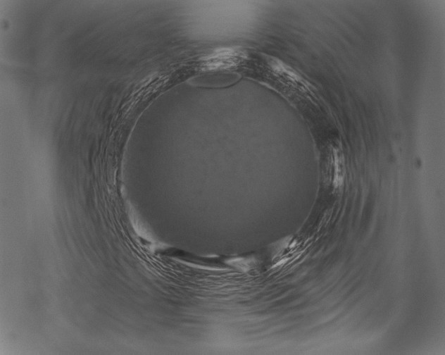 X0000068741441200605051439