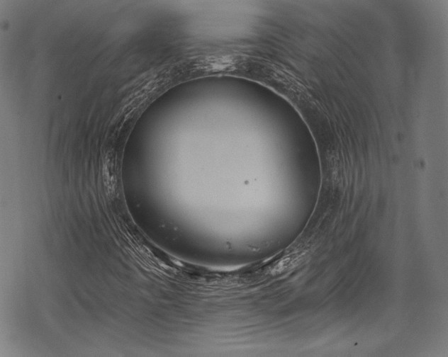 X0000068741442200605051439