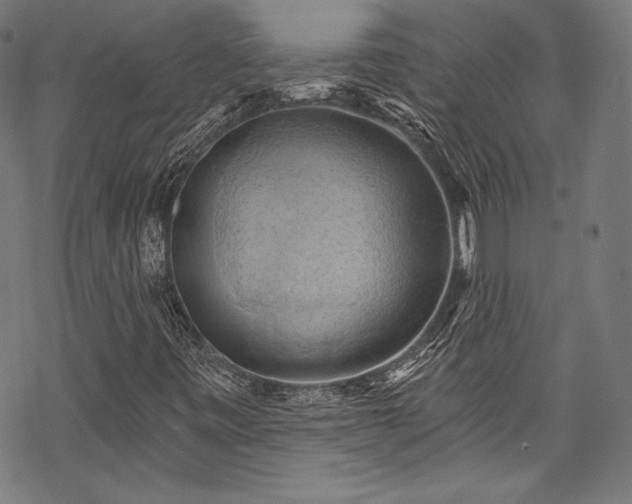 X0000068741443200605051439