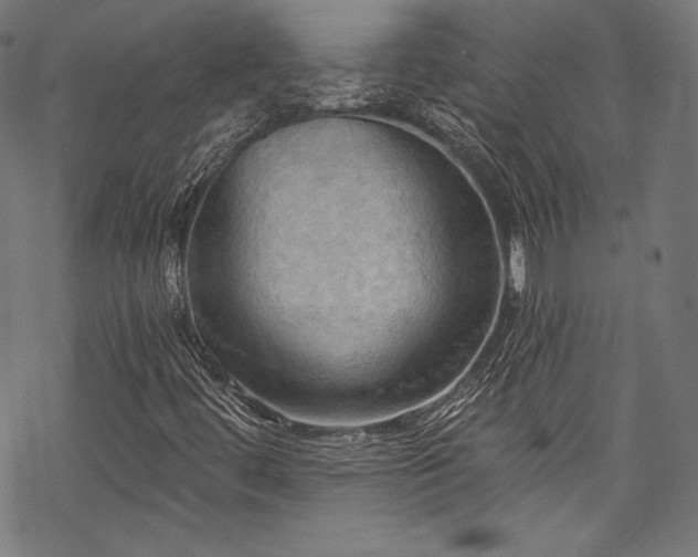 X0000068741444200605051439