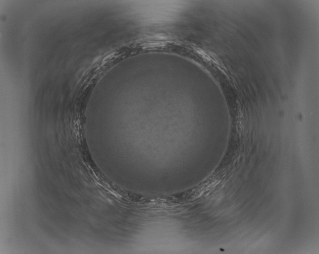 X0000068741445200605051439