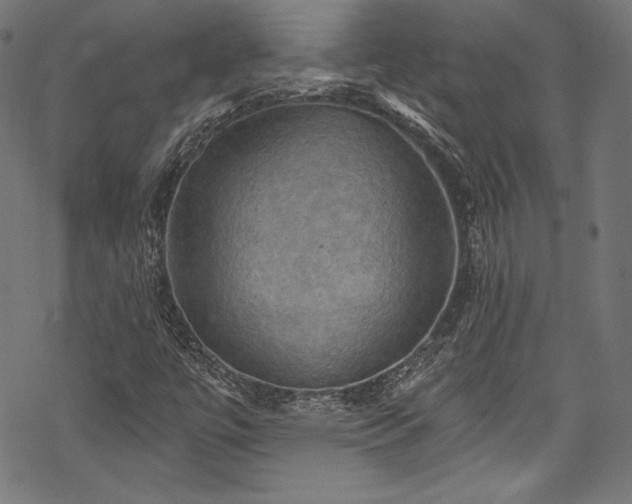 X0000068741447200605051439