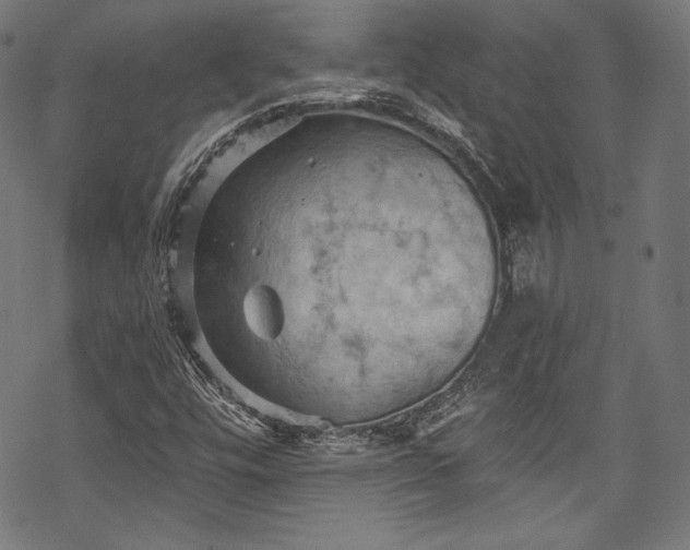 X0000068741448200605051439